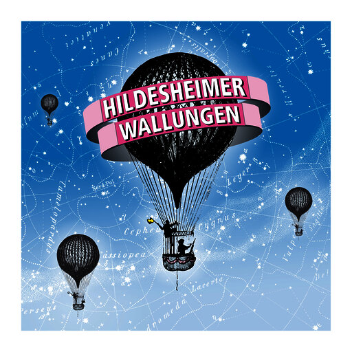 Logo Hildesheimer Wallungen
